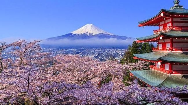 Tech Stocks Drag Down Nikkei