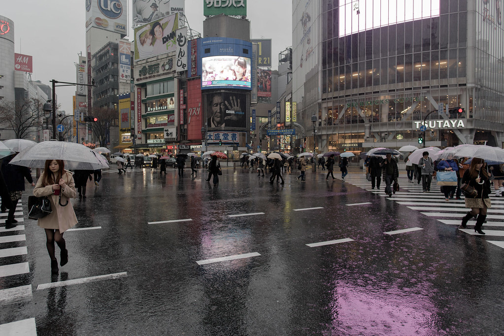 Nikkei Rises 0.8% as Tech and Banking Stocks Lead Gains